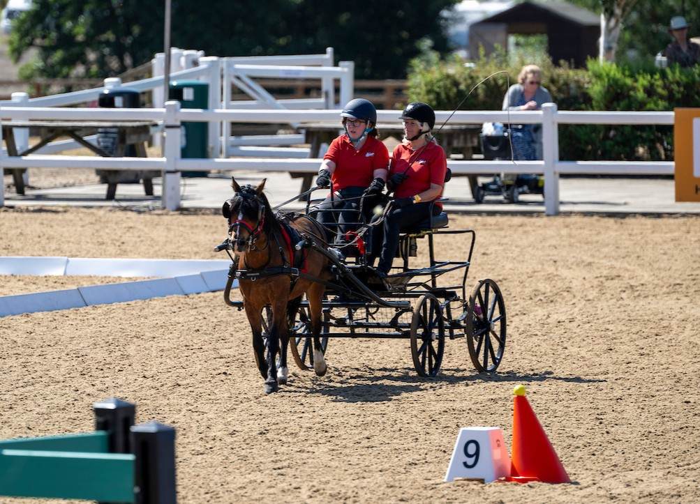 A two-person carriage with brown pony in a sand arena at RDA Championships. 